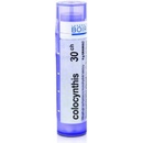 COLOCYNTHIS POR 30CH GRA 1X4G