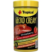 Tropical Gecko Cream strawberry 100 ml