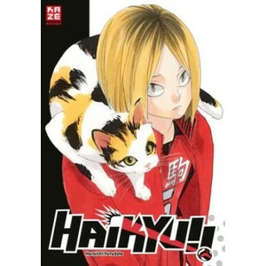 Haikyu! ! Sammelbox 3 - Band 21-30 im Schuber | Etsuko Florian Weitschies Tabuchi (ISBN: 9782889513833)
