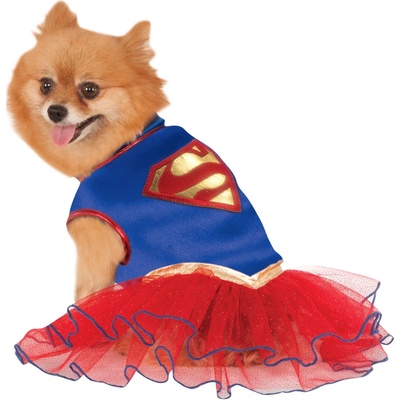 bristol SuperDog pro psa čivavu