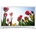 Samsung HG32EC673