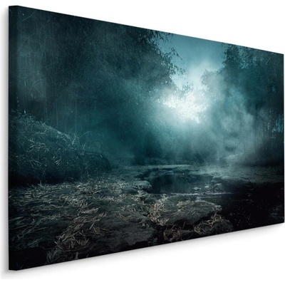 Plátno Řeka V Zamlženém Lese Varianta: 70x50