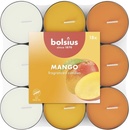 Bolsius Mango 18 ks