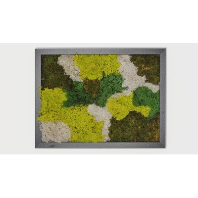 LEDmech Mechový obraz - černý rám 42 x 30 cm