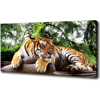 Foto obraz na plátne do obývačky Tiger na skale 100x50 cm