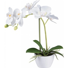 Gasper Umělá orchidej v bílém květináči, bílá, 33 cm