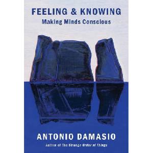 Feeling & Knowing | DAMASIO ANTONIO (ISBN: 9780525563075)