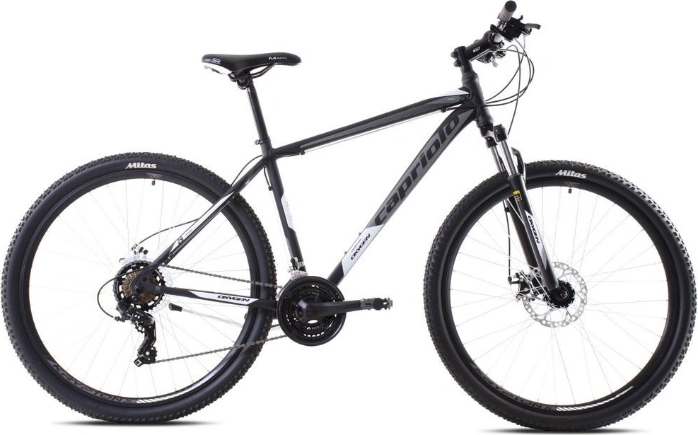 Bicykle