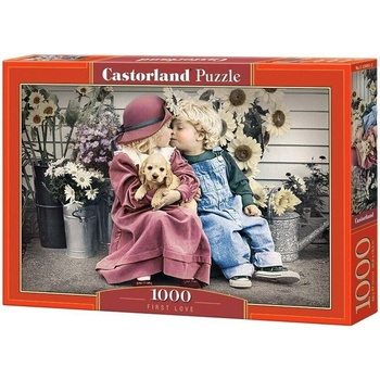 Castorland První láska 1000 dílků