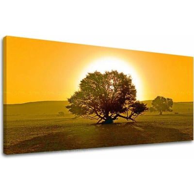 Obraz na stenu PANORÁMA STROMY - 40x80 cm