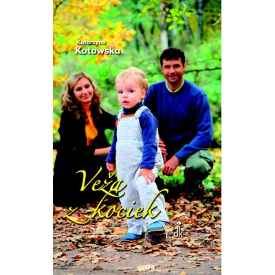 Veža z kociek