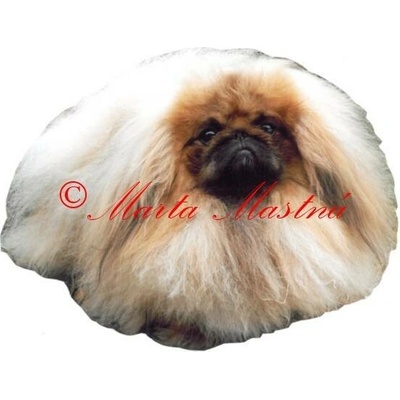 Samolepka pekinéz archiv 392 B