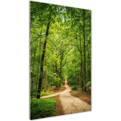 Vertikálny foto obraz fotografie na skle Chodník v lese 50x100 cm
