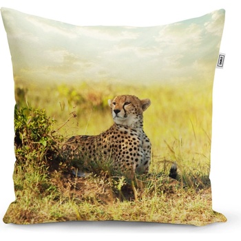 Sablio vankúš Gepard 60x60