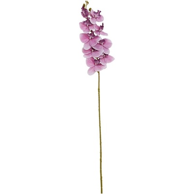 KS ORCHIDEA PHALAENOPSIS FIALOVÁ 102CM