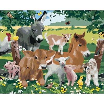 zuty Malování podle čísel Zvířata na farmě Howard Robinson 40 x 50 cm vypnuté plátno na rám