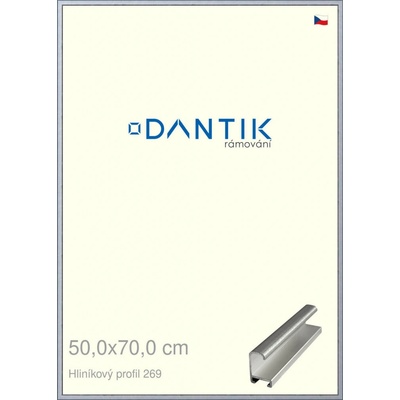 DANTIK rám na obraz 50 x 70 Sstříbrná broušená
