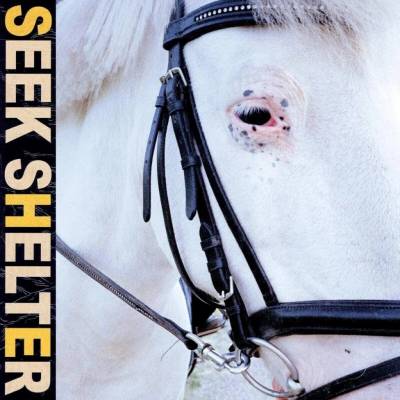 Iceage - Seek Shelter LP