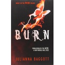 Burn - Julianna Baggott