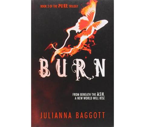 Burn - Julianna Baggott