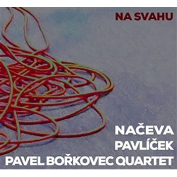 NACEVA, PAVLICEK A PAVEL BORKOVEC Q - NA SVAHU