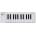 Arturia MicroLab MK3 White