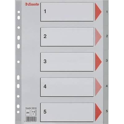 Záznamník, plastový, A4, 1–5, ESSELTE, sivý 100103