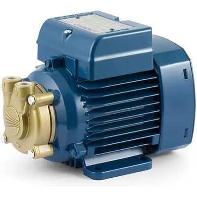 Pedrollo PVm 60 (41PNV60A1)