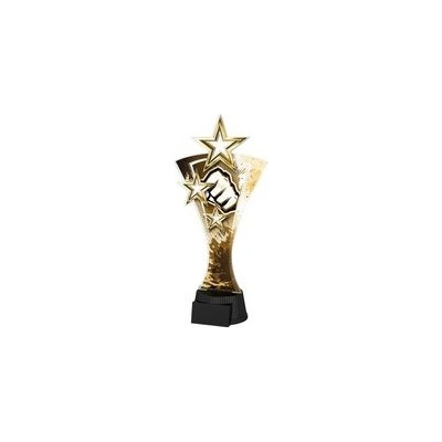 Poháry Bauer Akrylátová trofej ASTARN001M15 Bojová umění
