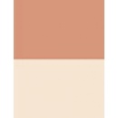 Dermacol Blush & Illuminator make-up 1 9 g