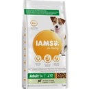 IAMS Dog Adult Small & Medium Lamb 12 kg