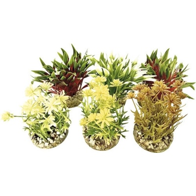 Sydeco Nano Flowering Bush 10 cm