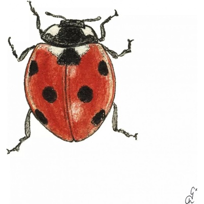Ubrousek 33x33cm Beruška – Sleviste.cz