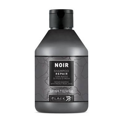 Black Noir Repair šampón pre poškodené vlasy 300 ml