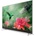 TCL U75C7006