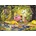 Alipson Puzzle - Puzzle Camping des Fées avec des Amis de la Forêt - 1 000 piese