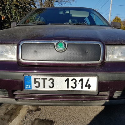 Škoda Octavia I 96-00 Zimní clona | Zboží Auto