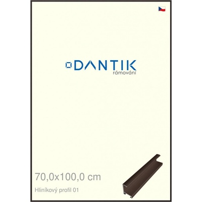DANTIK rám na obraz 70 x 100 Hnědá matná