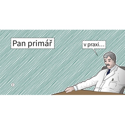 Pan primář v praxi...