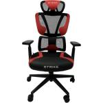 RFG Strike