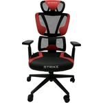 RFG Strike