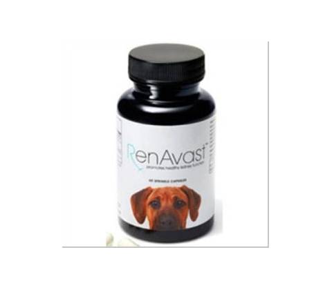RenAvast Dog 60 tbl
