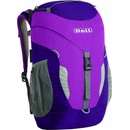 Boll Trapper boysenberry