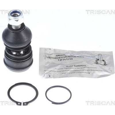 Čepy TRISCAN 8500 42561