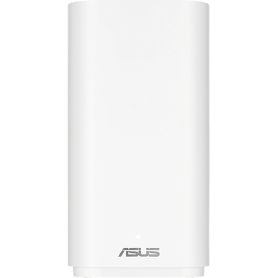 ASUS BD4 Outdoor (90IG09A0-MO3B60)