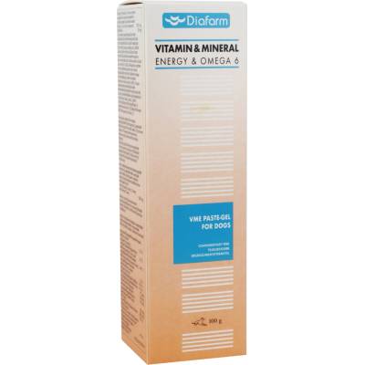 Diafarm Vitamin mineral Energy pasta Omega 6