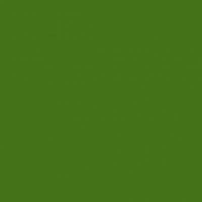 Derwent Procolour 50 Moss Green