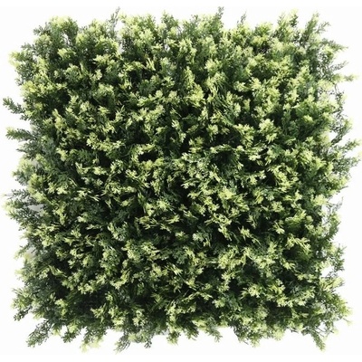 THUJA VG, dielec 50 x 50 cm