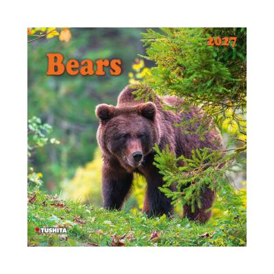 Bears 2027