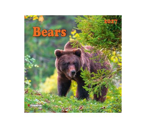Bears 2027